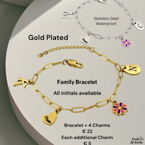 Stainless Steel Yellow Gold Plated Family Personalised Initial Charm Bracelet