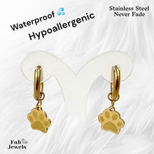 Load image into Gallery viewer, Gold Plated Stainless Steel Hypoallergenic Hoop Earrings with Paw Charms