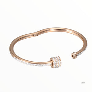 Stainless Steel 18ct Finish Yellow/ Rose Gold Plated Silver Bangle Bracelet