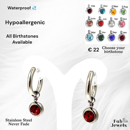 Stainless Steel Hypoallergenic Waterproof Hoop Earrings with Birthstone Charms
