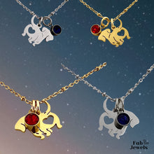 Load image into Gallery viewer, Stainless Steel Dog Heart Pendant with Personalised Birthstone Inc. Necklace