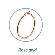 Load image into Gallery viewer, Rose Gold Plated Stainless Steel Loop Earrings Hypoallergenic Different Sizes