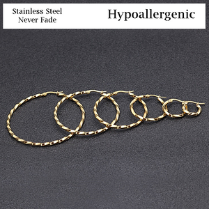 Stainless Steel Yellow Gold Rose Gold Silver Hoop Loop Earrings Hypoallergenic