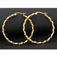 Load image into Gallery viewer, Stainless Steel Yellow Gold Rose Gold Silver Hoop Loop Earrings Hypoallergenic