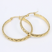 Load image into Gallery viewer, Yellow Gold Plated Stainless Steel Hypoallergenic Hoop Earrings