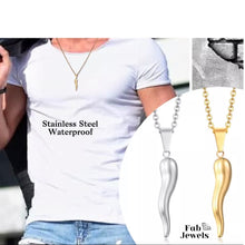 Load image into Gallery viewer, Horn Stainless Steel Pendant with Necklace