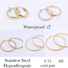 Load image into Gallery viewer, Stainless Steel Yellow Gold Plated Hoop Earrings Hypoallergenic Different Sizes