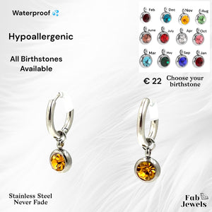Stainless Steel Hypoallergenic Waterproof Hoop Earrings with Birthstone Charms